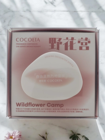 Diffuseur de parfum pour voiture 160 ml