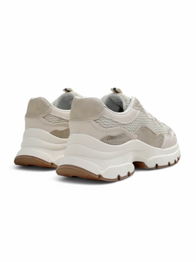 Royalfashion Baskets de sport pour femmes Totter