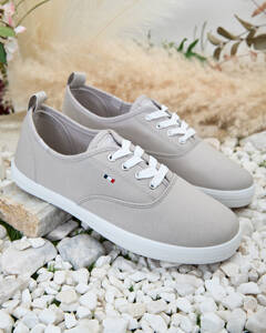 gris pigeon