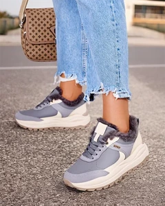 gris pigeon