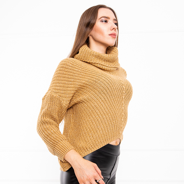 Pull court à col roulé pour femmes marron clair - Vêtements