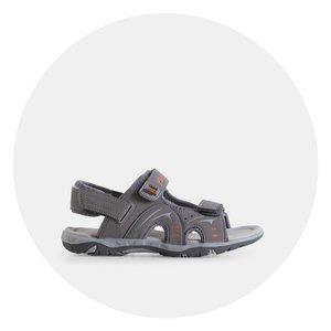 gris pigeon