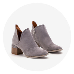 gris pigeon