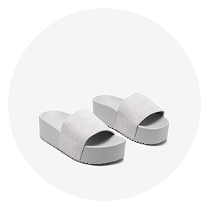 gris pigeon