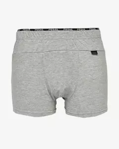Gris clair || gris pigeon