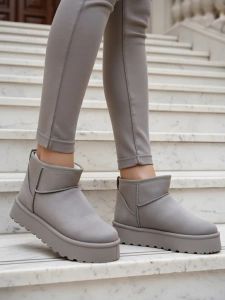 gris pigeon