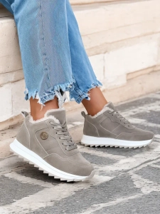 gris pigeon