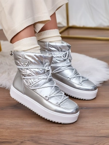 argent || gris pigeon