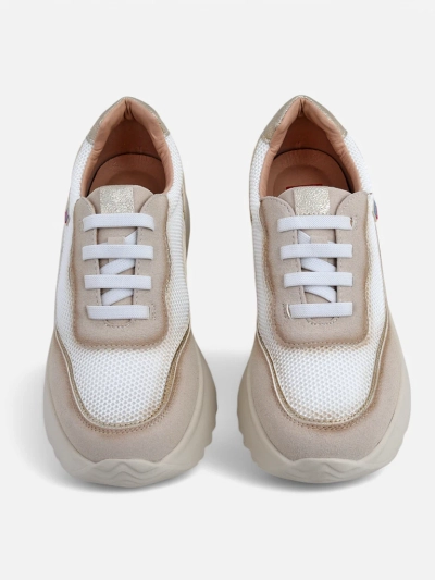 Royalfashion Baskets Femmes Zarrni