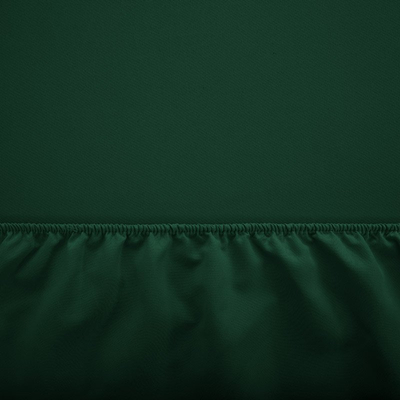 Drap en coton vert avec une bande élastique 200x220 - Feuilles