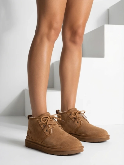 Bottines pour Hommes Luna Marron en Cuir Décontractées pour l'Hiver