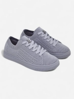 gris pigeon