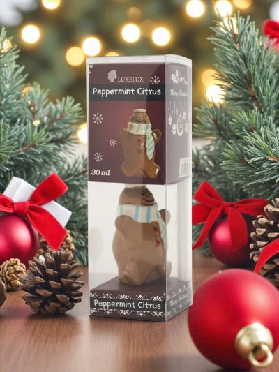 Bâtonnets parfumés de Noël Menthe poivrée & Agrumes