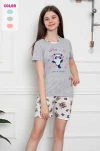 gris pigeon