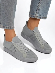 gris pigeon