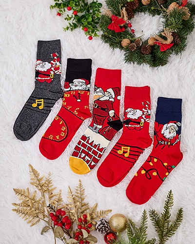 Chaussettes longues de vacances pour hommes Royalfashion 5/pack