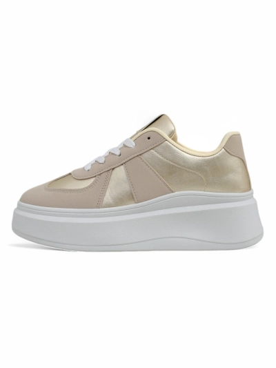 Baskets de sport plateforme pour femmes Royalfashion Safirrat