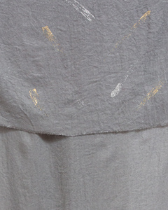 gris pigeon